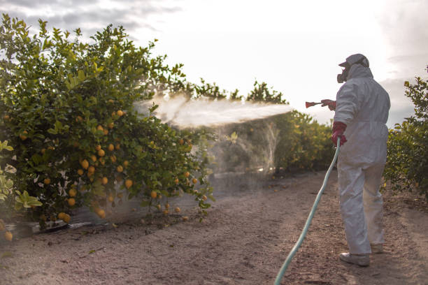 Best Pest Prevention Services  in Mont Alto, PA