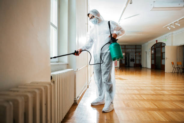 Best Flea Control Services  in Mont Alto, PA